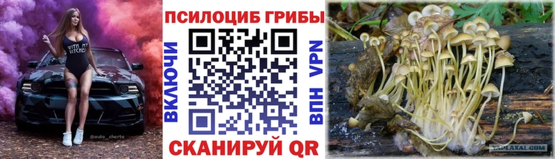 Галлюциногенные грибы Psilocybine cubensis  что такое наркотик  Цивильск 